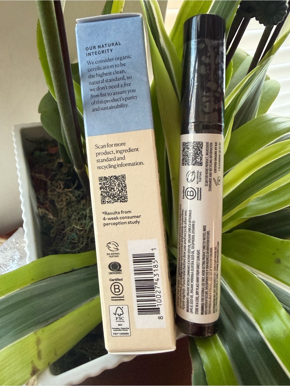 Sky Organics Organic Castor Lash & Brow Oil - Cream and Light Blue - Picture 2 of 5